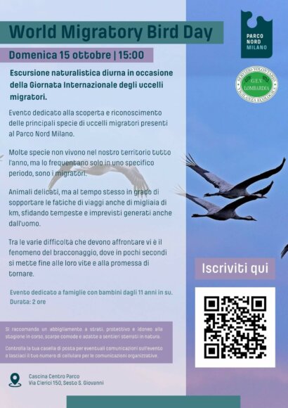 uccelli migratori