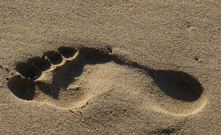 L’origine evolutiva dei “piedi piatti”