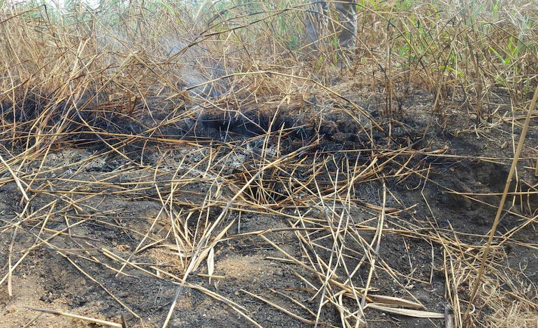 Gli “incendi fantasma” delle torbiere
