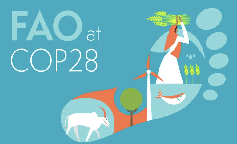 La sicurezza alimentare e il cambiamento climatico sono interconnessi