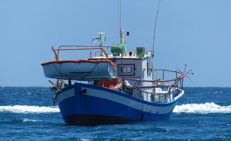 Buone notizie sul fronte della sovrapesca