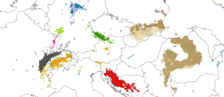 Distribuzione della lince