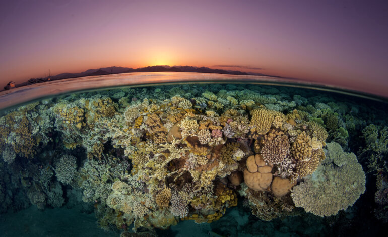 Reef al tramonto