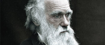 Darwin Day 2024: fioccano le iniziative!