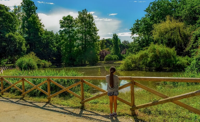 I boschi sono i migliori filtri naturali per la qualità dell’aria