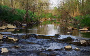 L'applicazione della Nature Restoration Law al vaglio del parlamento italiano