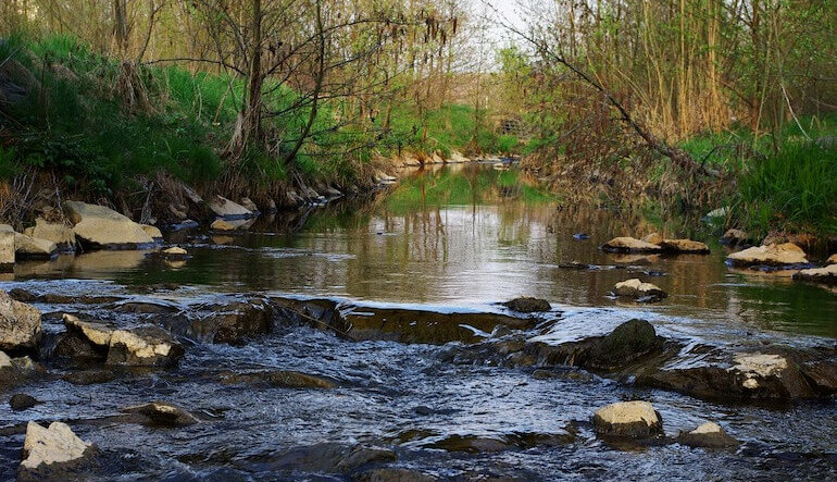 La “guerra” della Commissione UE contro la natura
