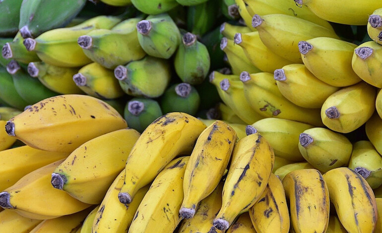 L’importanza delle banane nelle economie agricole
