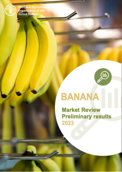 Banana Market Review 