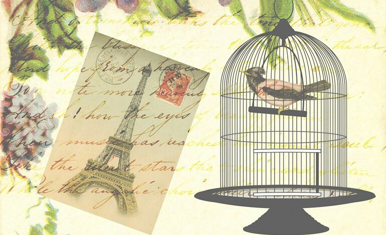 Viaggiare con gli uccelli domestici