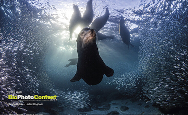 Ultimo giorno per partecipare al BioPhotoContest 2024