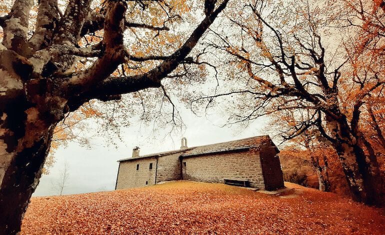 All’Eremo della Casella, tra il silenzio dei faggi
