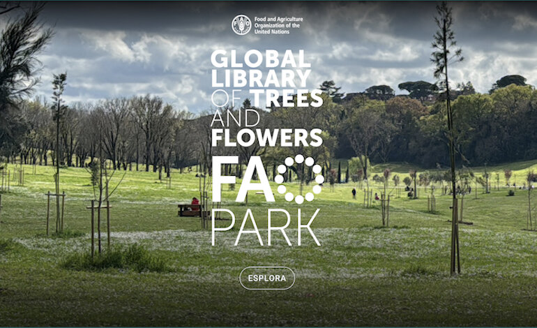 FAO Park all’interno della libreria degli alberi