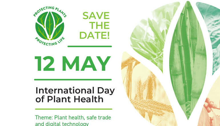 Giornata internazionale della salute delle piante