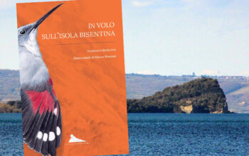 L’avifauna dell’Isola Bisentina in un libro