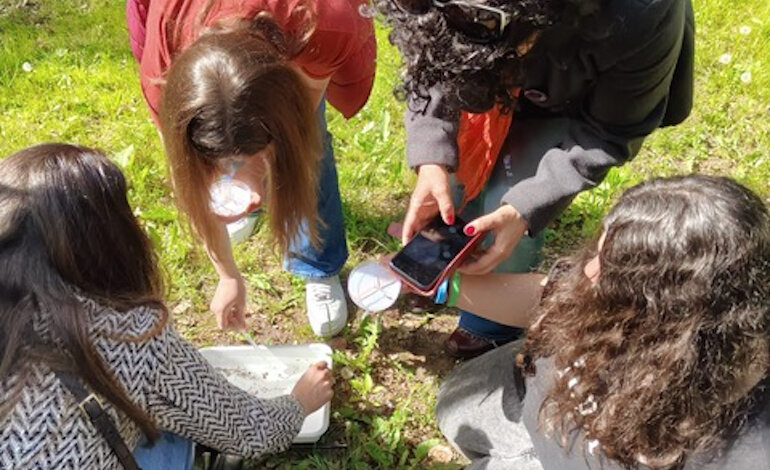 La più grande iniziativa di citizen science raggiunge il record di 2,4 milioni di osservazioni