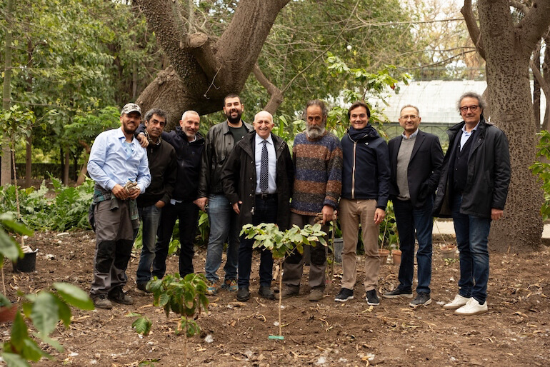 Orto botanico di Palermo