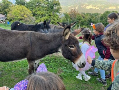 bambini Monte di Brianza