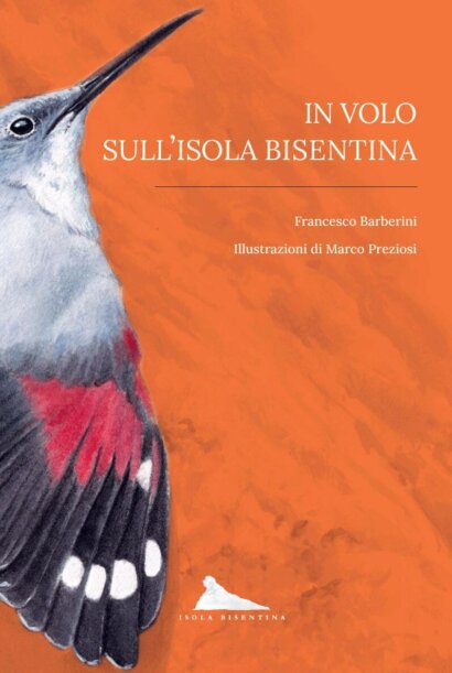 L’avifauna dell’Isola Bisentina