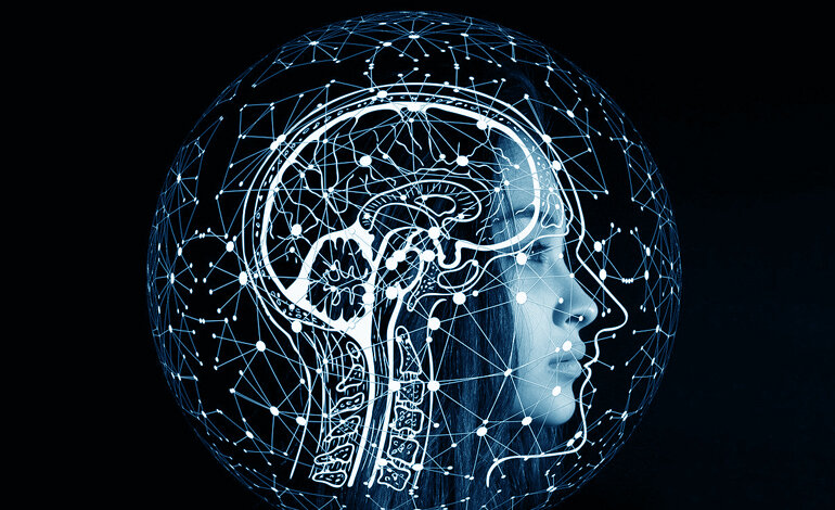 I neuroni sono importanti, ma non sono tutto