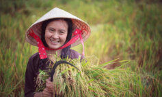 Il 2026 sarà l'Anno Internazionale delle Donne Agricoltrici