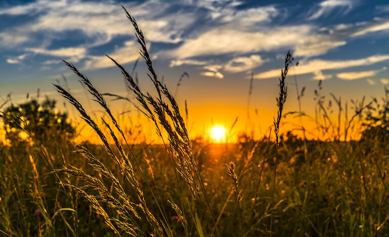 Come fare a non mangiarsi la Terra