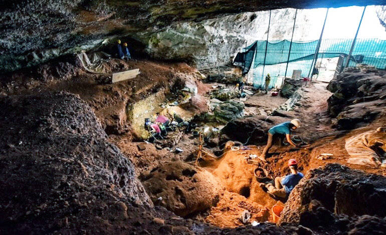 L’ultimo leone delle caverne d’Europa