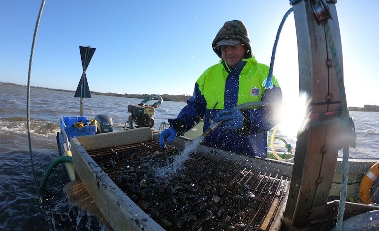 C’è più vita con la pesca sostenibile