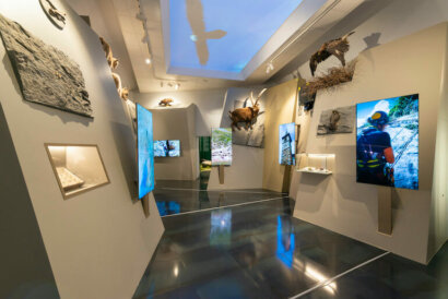 Museo di Scienze naturali Efisio Noussan