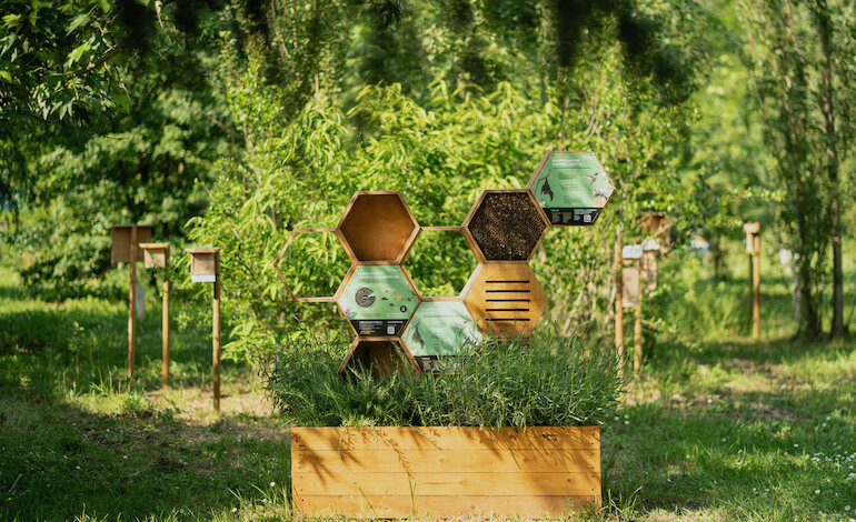 Edison Next + 3Bee = + api e + benessere per tutti