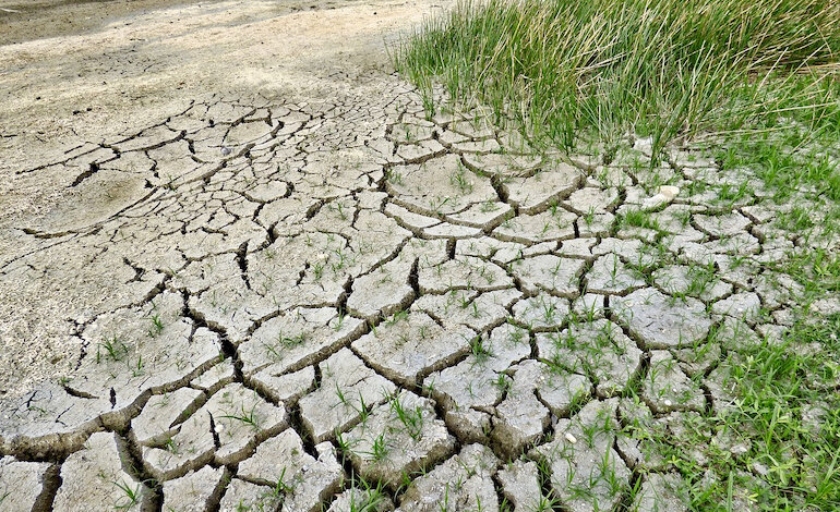 Gli ecosistemi hanno un limite che non andrebbe superato