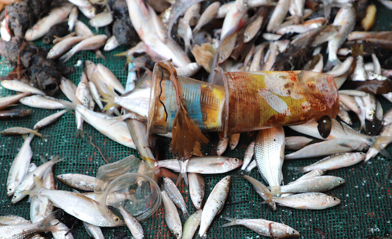 I microorganismi che vivono sui rifiuti di plastica minacciano la Cambogia