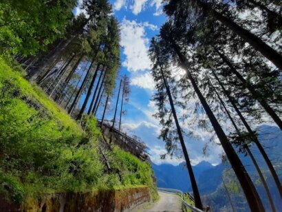 Alta Via dell’Orso