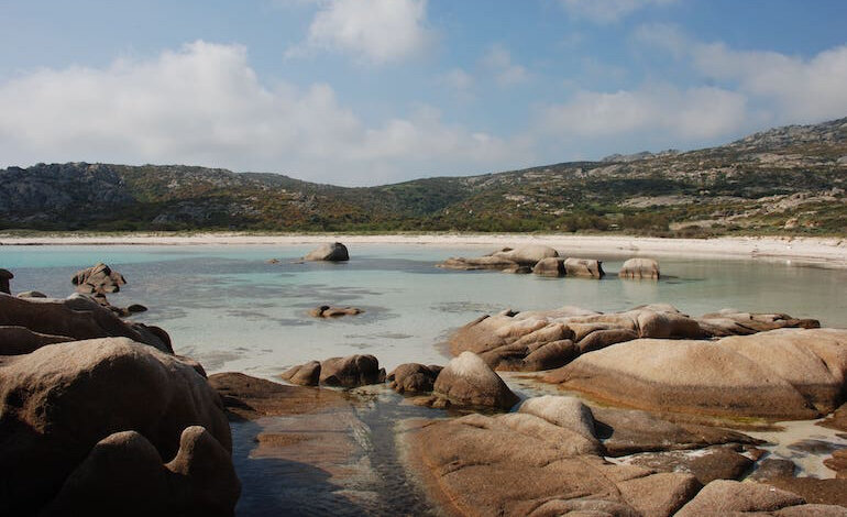 I risultati del progetto di conservazione dell’Asinara
