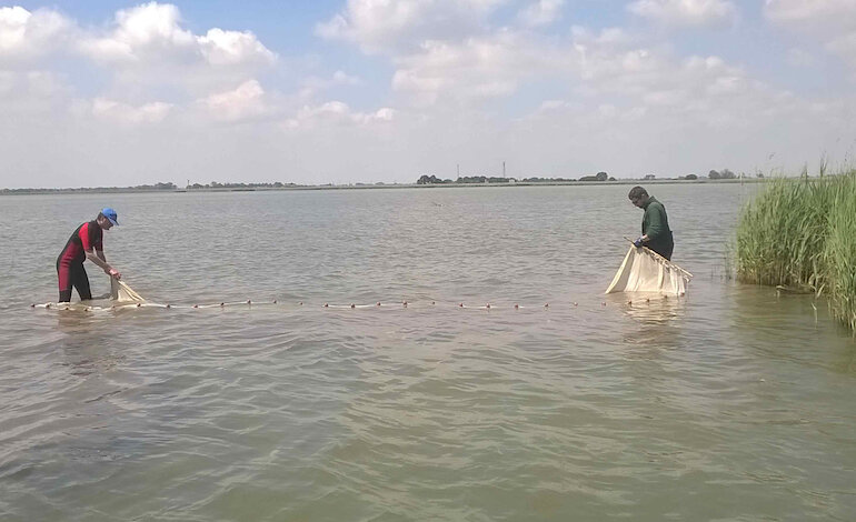 La laguna svela la sua biodiversità attraverso il DNA