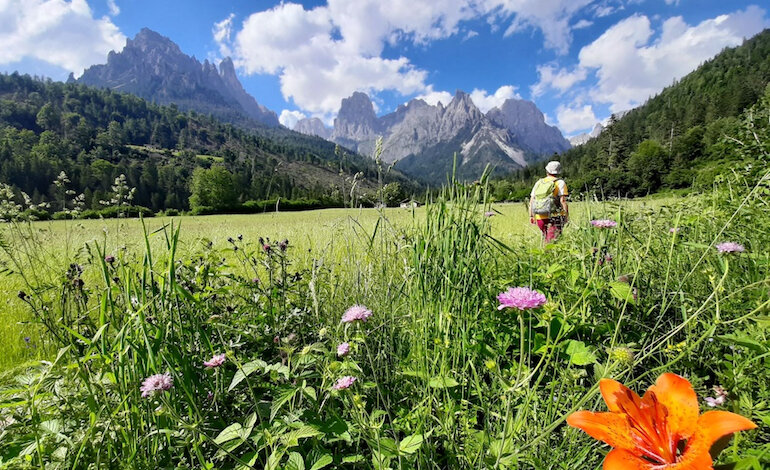 Tra muse e Dolomiti, a spasso per la Val Canali