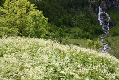 vallone del Roc