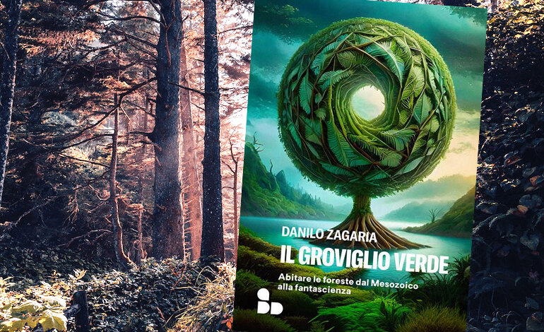 L’immensa varietà delle foreste del pianeta