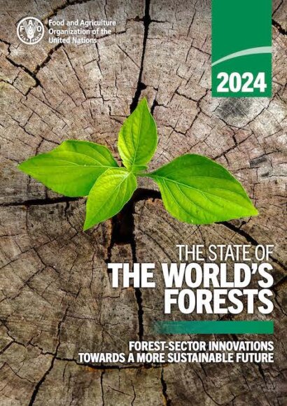 stato delle foreste