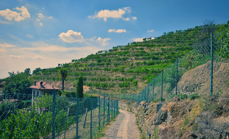 17 milioni di euro per l’agricoltura di montagna in Lombardia