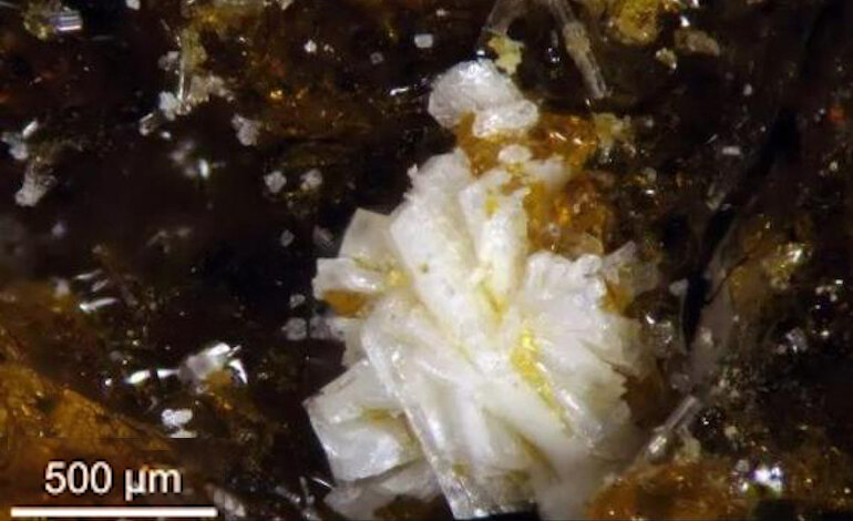 La batoniite: “Minerale dell’Anno” 2023