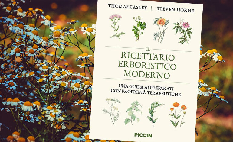 Una guida ai preparati con proprietà terapeutiche
