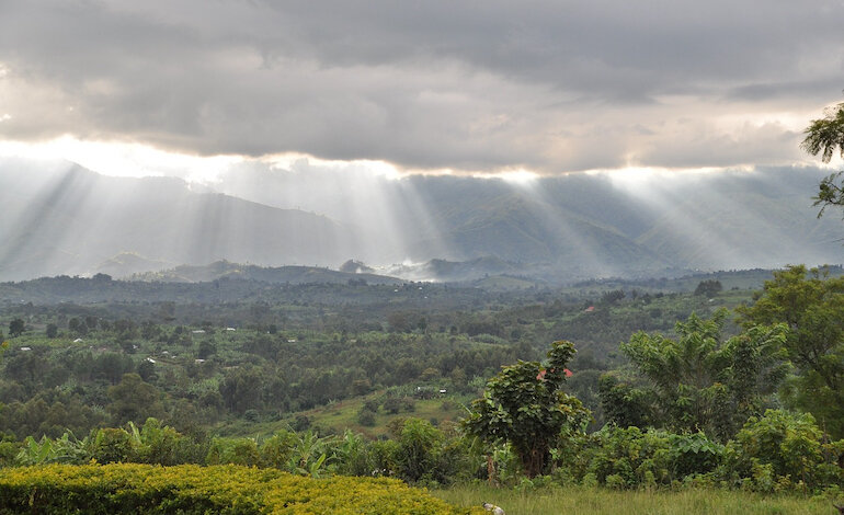 La biodiversità del bacino del Congo