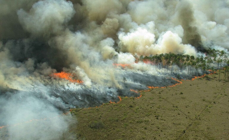 Le linee guida per affrontare gli incendi