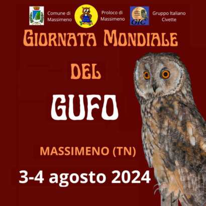 gufo