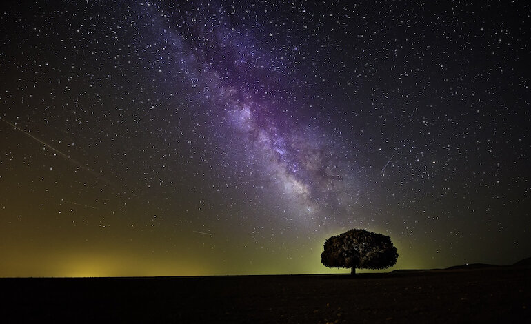 Perché la Natura è bella