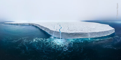 Wildlife Photographer of the Year
