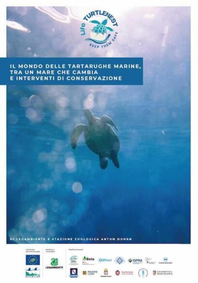tartarughe mediterraneo