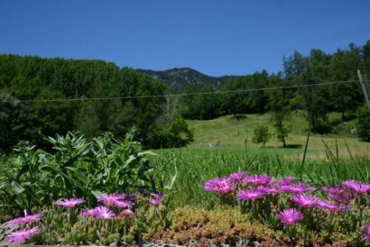 Val d’Ayas