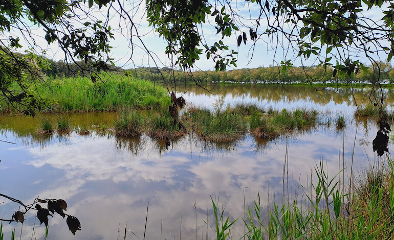 LOWA partner dell’Oasi Naturalistica di Bibione